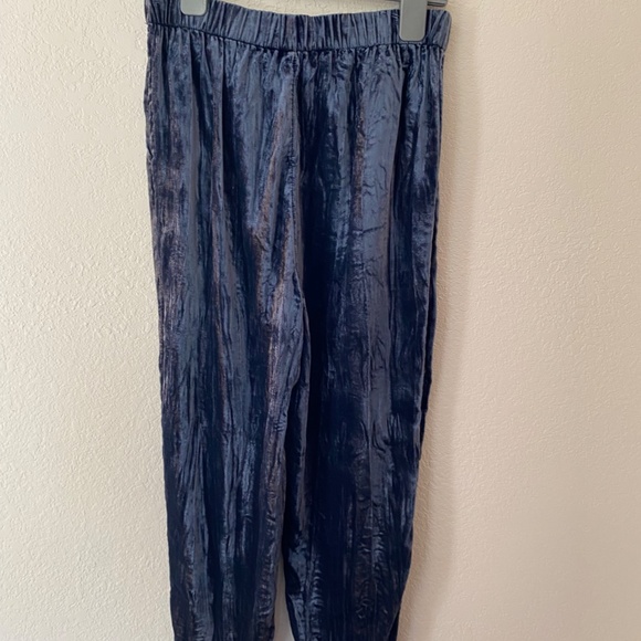 Navy Crushed Velvet Cropped Anthropologie Pants - Picture 2 of 4